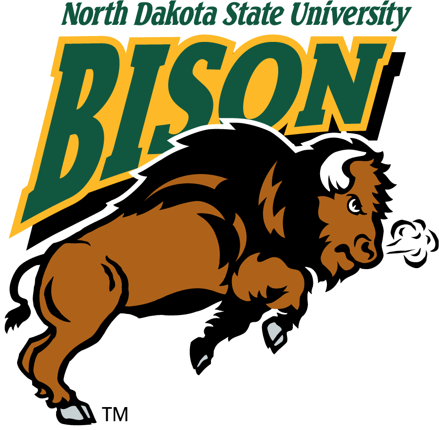 North Dakota State Bison 1999-2012 Alternate Logo v3 diy DTF decal sticker